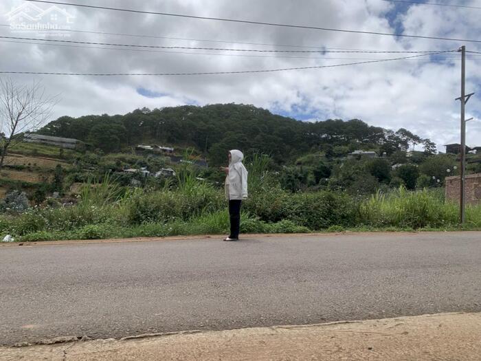 Hình ảnh Bán Đất Biệt Thự View Rừng Thông – Xã Xuân Thọ (Phường Xuân Trường), TP. Đà Lạt 4