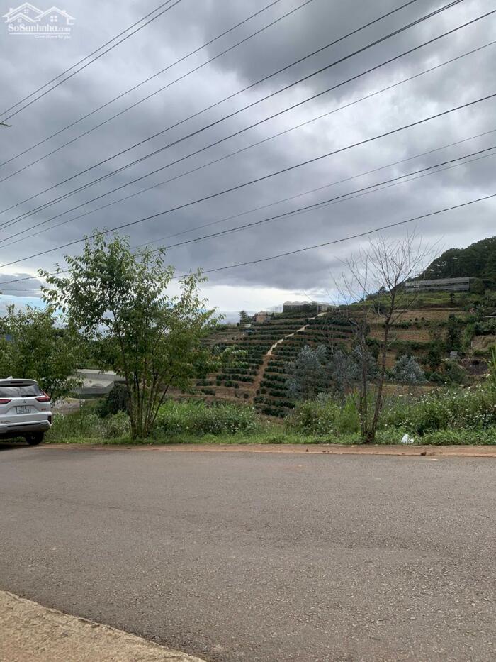 Hình ảnh Bán Đất Biệt Thự View Rừng Thông – Xã Xuân Thọ (Phường Xuân Trường), TP. Đà Lạt 0