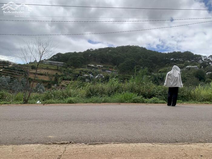 Hình ảnh Bán Đất Biệt Thự View Rừng Thông – Xã Xuân Thọ (Phường Xuân Trường), TP. Đà Lạt 3