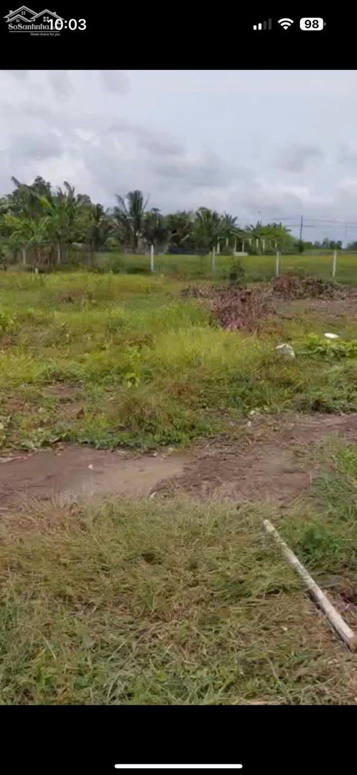 Hình ảnh Đất thổ lúa 1000m2 xã Tân Lân Chủ kẹt cần bán gấp giá rẻ 1 tỏi 4 1