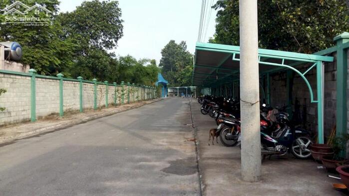 Hình ảnh Bán xưởng 4500m2 tdt 7290m2 Bến Cát (Bình Dương cũ) 3