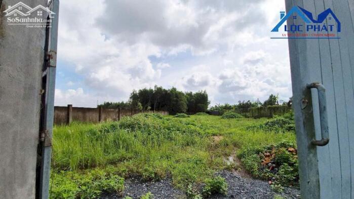 Hình ảnh Bán đất xã Bình Lợi Huyện Vĩnh Cửu Đồng Nai 3700m2 giá chỉ 6,5 tỷ. 0