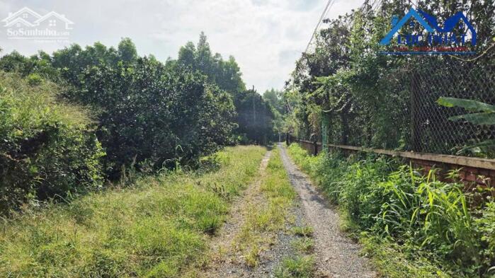 Hình ảnh Bán đất xã Bình Lợi Huyện Vĩnh Cửu Đồng Nai 3700m2 giá chỉ 6,5 tỷ. 5