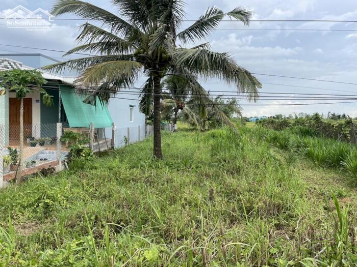 Hình ảnh Đất mặt tiền nhựa ĐT871C gần cống Rạch Bùn - Tân Điền – Gò Công Đông giá 1 tỷ 050tr 0