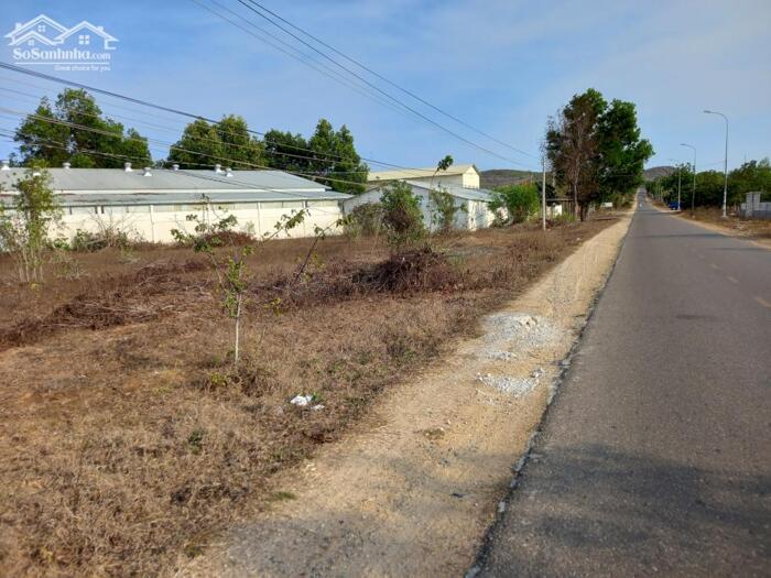 Hình ảnh Đại Hạ Giá-Nhiều đất Sào-Mặt tiền DT715-Mũi Né(Thiện Nghiệp)-Lâm Đồng 3