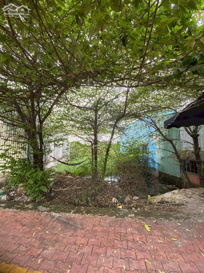 Hình ảnh CẦN BÁN LÔ ĐẤT 802m2 MẶT TIỀN TÂN KIÊN, BÌNH CHÁNH 3