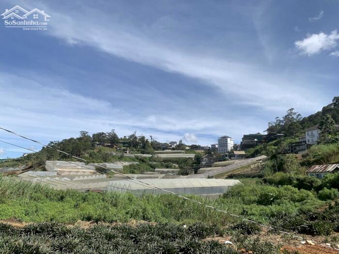 Hình ảnh Bán Đất Mặt Tiền Đường Ankoret, Phường 7, Đà Lạt – Vị Trí Đẹp, Tiềm Năng Sinh Lời Cao 6