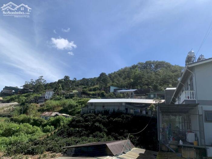 Hình ảnh Bán Đất Mặt Tiền Đường Ankoret, Phường 7, Đà Lạt – Vị Trí Đẹp, Tiềm Năng Sinh Lời Cao 7