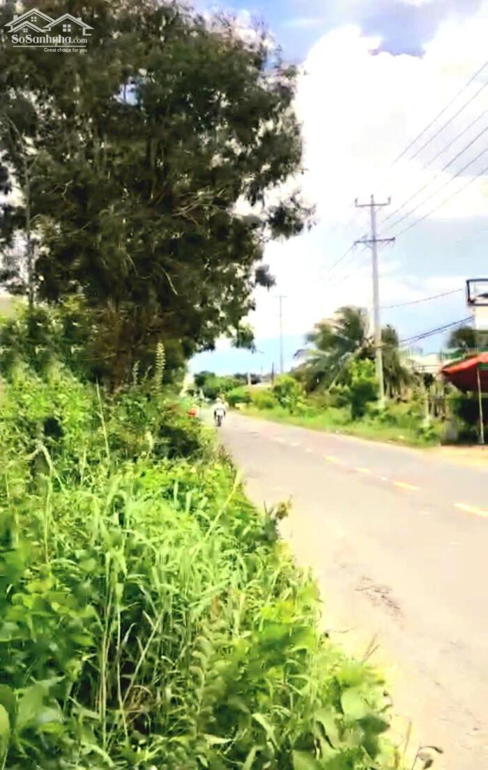 Hình ảnh B.á.n 38m Mặt tiền TL862 Gò Công Đông thuận tiện kinh doanh mua bán giá 2 tỷ 2