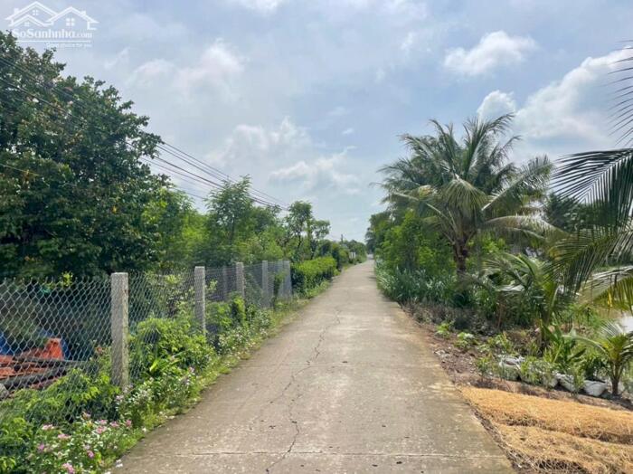 Hình ảnh B.á.n 2 công đất vườn chỉ 950tr hết đất, mặt tiền ôtô hướng biển Rạch Bùn, Tân Điền, Đồng Tháp 0