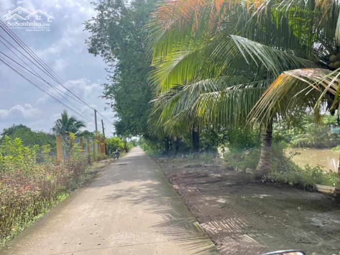 Hình ảnh B.á.n 2 công đất vườn chỉ 950tr hết đất, mặt tiền ôtô hướng biển Rạch Bùn, Tân Điền, Đồng Tháp 1