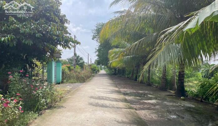 Hình ảnh B.á.n 2 công đất vườn chỉ 950tr hết đất, mặt tiền ôtô hướng biển Rạch Bùn, Tân Điền, Đồng Tháp 2