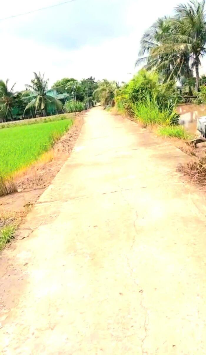 Hình ảnh B.á.n 2 công đất vườn chỉ 950tr hết đất, mặt tiền ôtô hướng biển Rạch Bùn, Tân Điền, Đồng Tháp 3