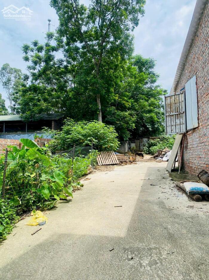 Hình ảnh Bán lô đất khu hành chính 16, Làng Bầu, Liên Bảo, Vĩnh Yên 0