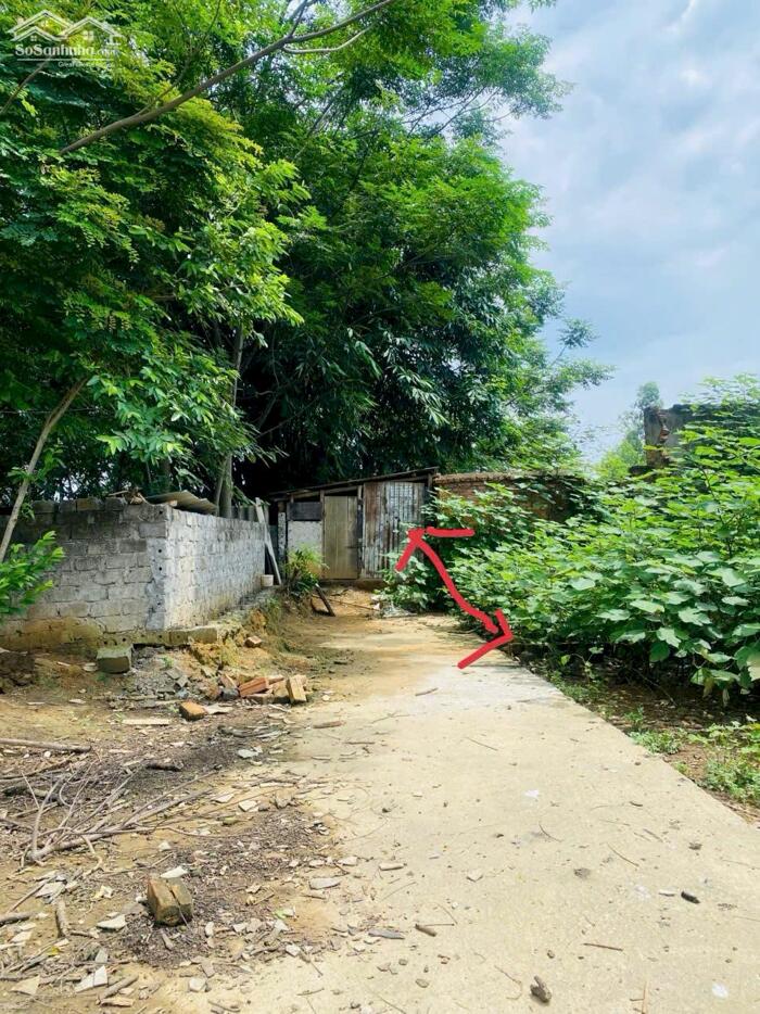 Hình ảnh Bán lô đất khu hành chính 16, Làng Bầu, Liên Bảo, Vĩnh Yên 4