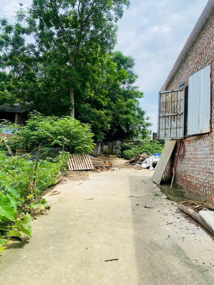 Hình ảnh Bán lô đất khu hành chính 16, Làng Bầu, Liên Bảo, Vĩnh Yên 3