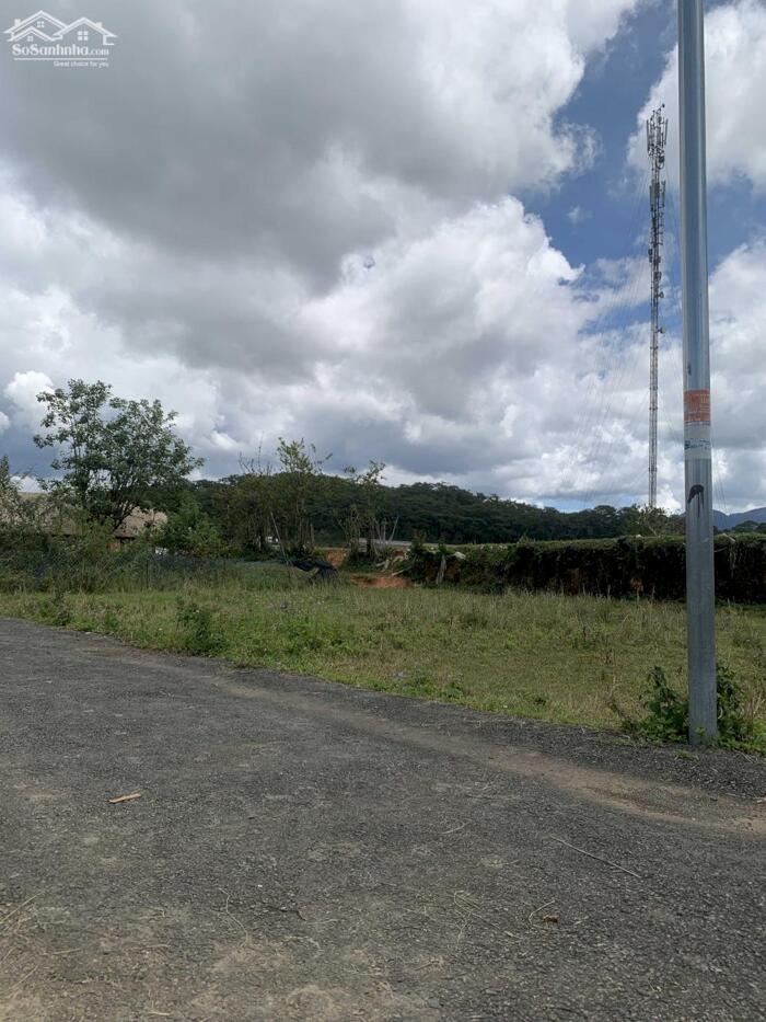 Hình ảnh Bán Đất Đường Măng Lin, Phường 7, TP. Đà Lạt – Vị Trí Đẹp, Full Thổ Cư, Gần Mây Lang Thang 2