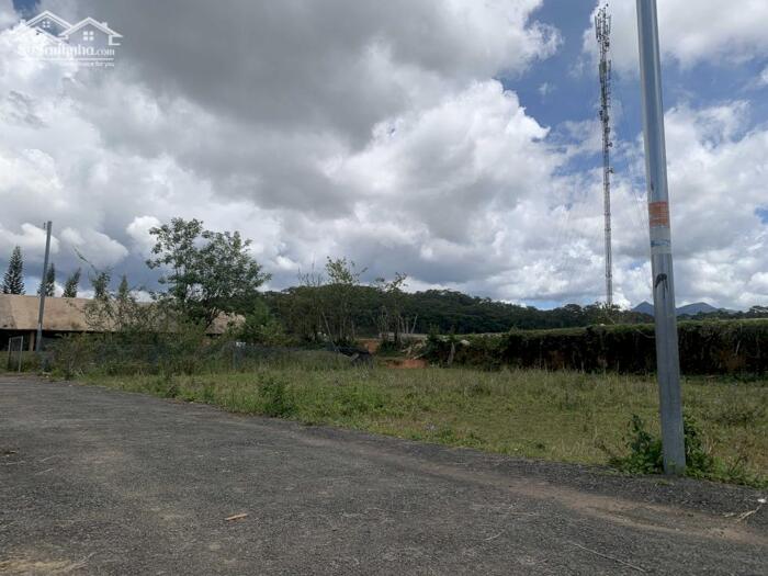 Hình ảnh Bán Đất Đường Măng Lin, Phường 7, TP. Đà Lạt – Vị Trí Đẹp, Full Thổ Cư, Gần Mây Lang Thang 0