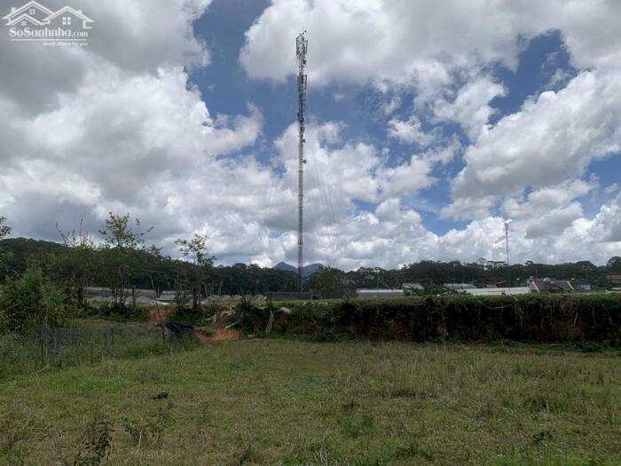 Hình ảnh Bán Đất Đường Măng Lin, Phường 7, TP. Đà Lạt – Vị Trí Đẹp, Full Thổ Cư, Gần Mây Lang Thang 3