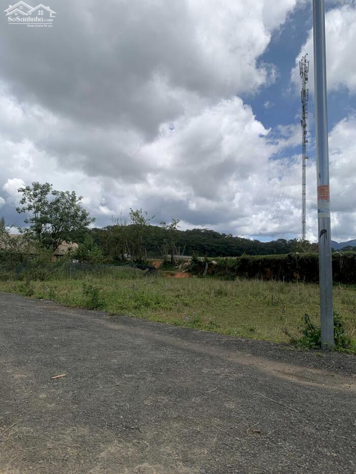 Hình ảnh Bán Đất Đường Măng Lin, Phường 7, TP. Đà Lạt – Vị Trí Đẹp, Full Thổ Cư, Gần Mây Lang Thang 1