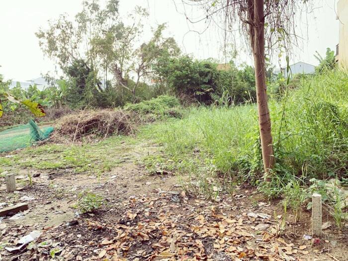 Hình ảnh BÁN ĐẤT KIỆT Ô TÔ LA Ỷ – MỸ THƯỢNG, TP HUẾ GIÁ CHỈ 1,43 Tỷ 2