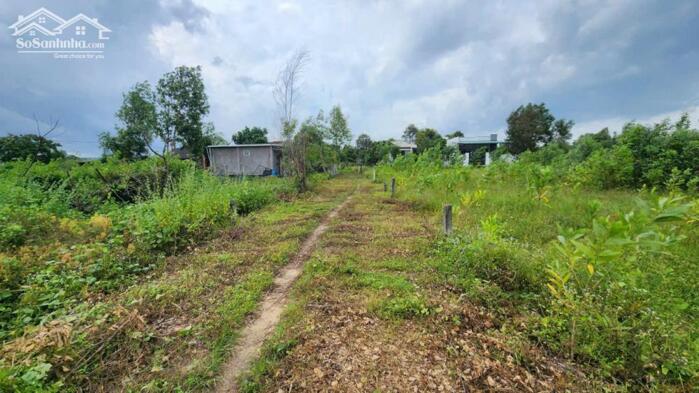 Hình ảnh bán đất 5x21 full thổ cư gần biển Cam Bình, LaGi. giá chỉ 700 triệu 0