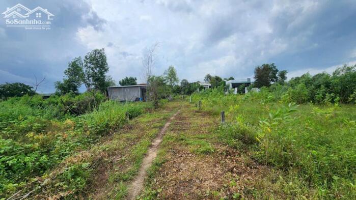 Hình ảnh bán đất 5x21 full thổ cư gần biển Cam Bình, LaGi. giá chỉ 700 triệu 3