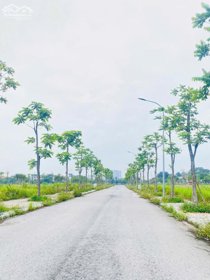 Hình ảnh Bán đất khu đô thị Bắc Đầm Vạc, Đống Đa, Vĩnh Yên, Vĩnh Phúc 1
