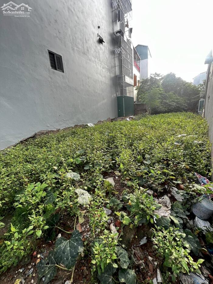 Hình ảnh Mảnh Đất Đẹp Mặt Tiền 7M Cạnh Hồ Thiền Quang 145M2 106 Tỷ 1 Sổ 1 Chủ 2