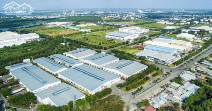 Hình ảnh Đất lúa 1000m2 mt đường TL826B mặt bằng kinh doanh giá ngộp cần bán gấp 5 tỏi 1