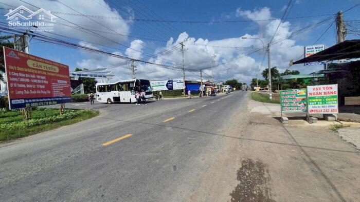 Hình ảnh Đất lúa 1000m2 mt đường TL826B mặt bằng kinh doanh giá ngộp cần bán gấp 5 tỏi 2