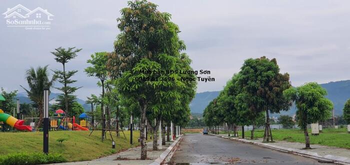 Hình ảnh Hàng Chuẩn ! Đầu tư ngay lô biệt thự giá cực ngon 2