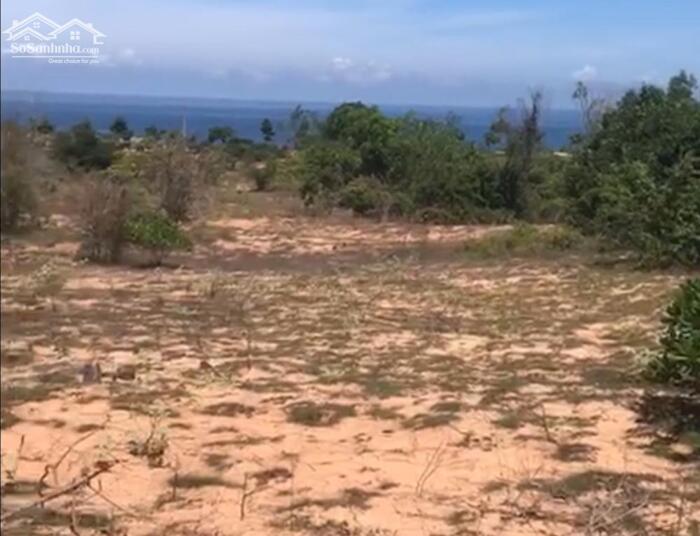 Hình ảnh Đại Hạ Giá-Đất gần Sealink Rạng Đông-Thiện Nghiệp-Phan Thiết-DT 22.620m2 1