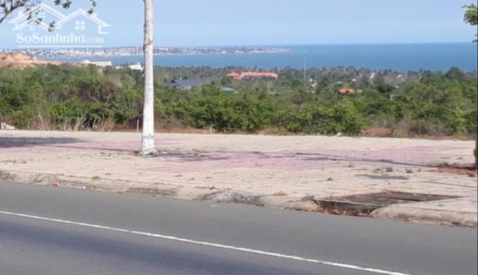 Hình ảnh Đại Hạ Giá-Đất gần Sealink Rạng Đông-Thiện Nghiệp-Phan Thiết-DT 22.620m2 2