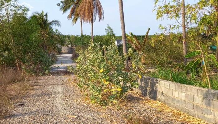 Hình ảnh Đại Hạ Giá-Đất gần Hồ Quang Cảnh,đg Bàu Me-Thiện Nghiệp-Phan Thiết-DT 3,16Ha 0