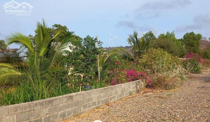 Hình ảnh Đại Hạ Giá-Đất gần Hồ Quang Cảnh,đg Bàu Me-Thiện Nghiệp-Phan Thiết-DT 3,16Ha 1
