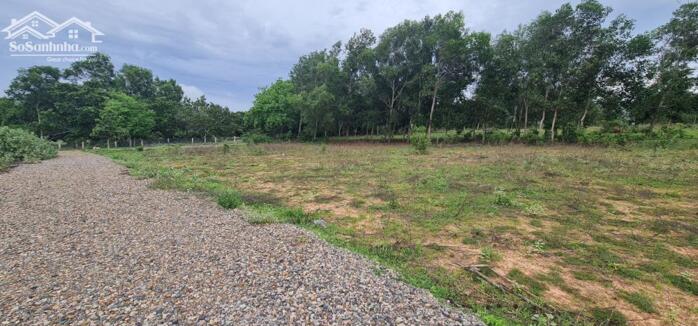 Hình ảnh Đại Hạ Giá-Đất gần Hồ Quang Cảnh,đg Bàu Me-Thiện Nghiệp-Phan Thiết-DT 3,16Ha 2