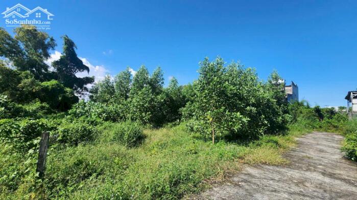 Hình ảnh bán đất 2 mặt tiền đường 1340m2 phủ hồng, lô 2 lê minh công, lagi. gần biển, giá ngộp 2