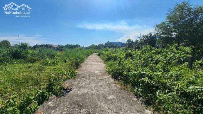 Hình ảnh bán đất 2 mặt tiền đường 1340m2 phủ hồng, lô 2 lê minh công, lagi. gần biển, giá ngộp 0