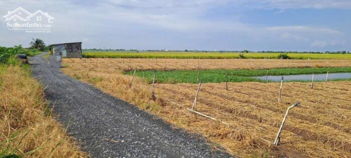 Hình ảnh B.á.n 2,2 công đất nền chỉ 900tr hết đất, mặt tiền ôtô hướng biển Rạch Bùn, Tân Điền, Gò Công Đông, TG 1