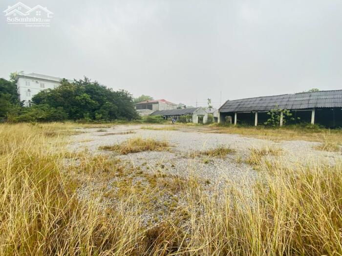 Hình ảnh Bán đất thương mại dịch vụ mặt đường Đình Ấm, Khai Quang, Vĩnh Yên. 2