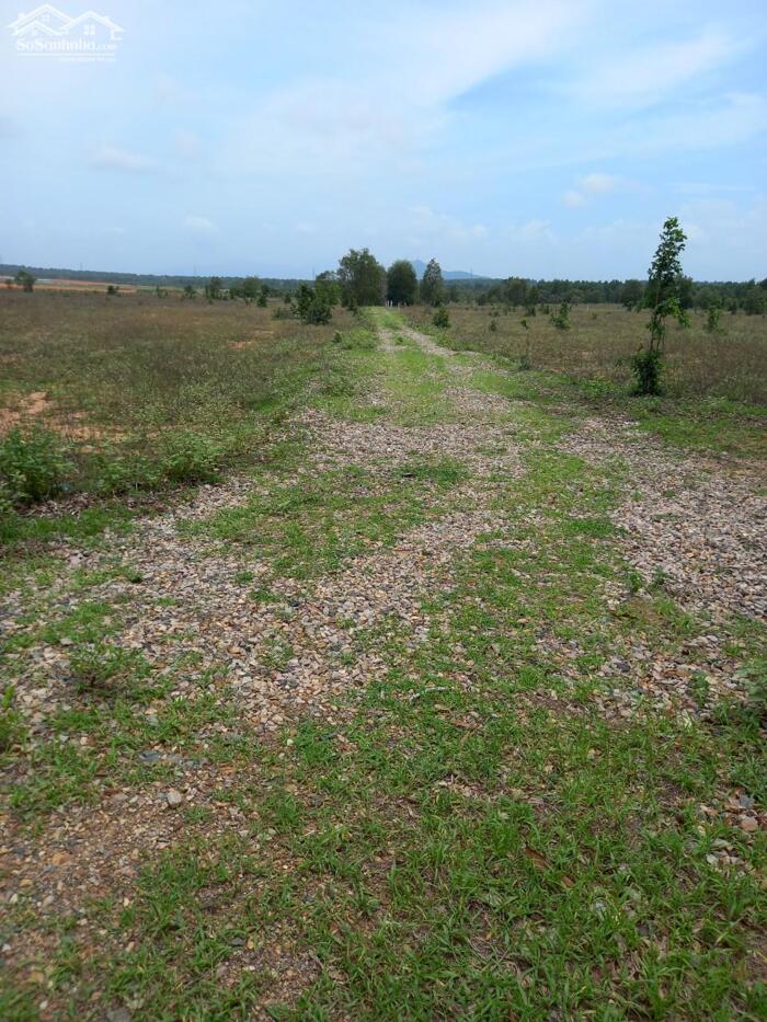 Hình ảnh Đất Mũi Né(Thiện Nghiệp)-Lâm Đồng-DT 1ha+1Ha+2Ha-Đường dẫn vào Sân bay 1