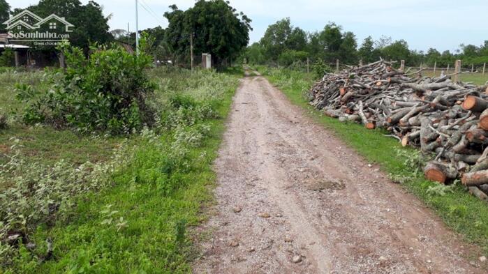 Hình ảnh Đất quá Ngộp-Thiện Sơn-Mũi Né-Lâm Đồng-DT 19.500m2,gần UBND Xã Thiện Nghiệp 1