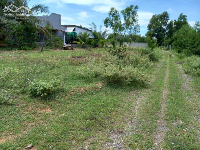 Hình ảnh Đất Ngộp 2 mặt tiền-Mũi Né-Lâm Đồng-DT 9.600m2,gần Sân Bay,gần UBND Thiện Nghiệp 1