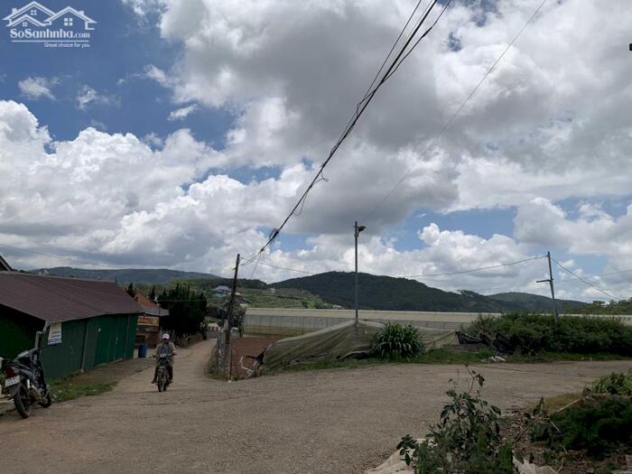 Hình ảnh Bán Đất Đường Phan Chu Trinh, Phường 9, Tp. Đà Lạt – Vị Trí Đẹp, Kinh Doanh Sầm Uất 3