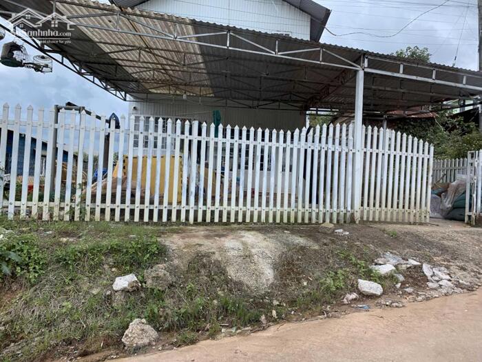 Hình ảnh Bán Đất Đường Phan Chu Trinh, Phường 9, Tp. Đà Lạt – Vị Trí Đẹp, Kinh Doanh Sầm Uất 6