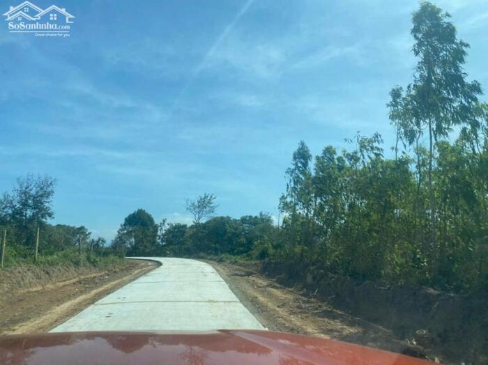 Hình ảnh Krông Bông-Đắk Lắk dt hơn 500m2 mặt tiền bê tông chỉ 89tr/lô 0