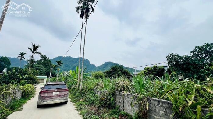 Hình ảnh BÁN LÔ ĐẤT 400M² FULL THỔ CƯ – XÓM CUÔI, BÌNH SƠN, KIM BÔI, HÒA BÌNH CŨ Giá Nhỉnh 1Tỷ 0