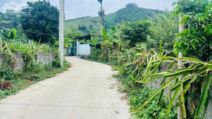 Hình ảnh BÁN LÔ ĐẤT 400M² FULL THỔ CƯ – XÓM CUÔI, BÌNH SƠN, KIM BÔI, HÒA BÌNH CŨ Giá Nhỉnh 1Tỷ 4