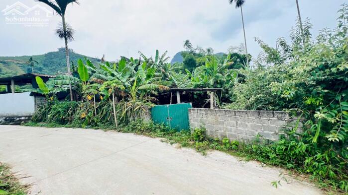 Hình ảnh BÁN LÔ ĐẤT 400M² FULL THỔ CƯ – XÓM CUÔI, BÌNH SƠN, KIM BÔI, HÒA BÌNH CŨ Giá Nhỉnh 1Tỷ 2